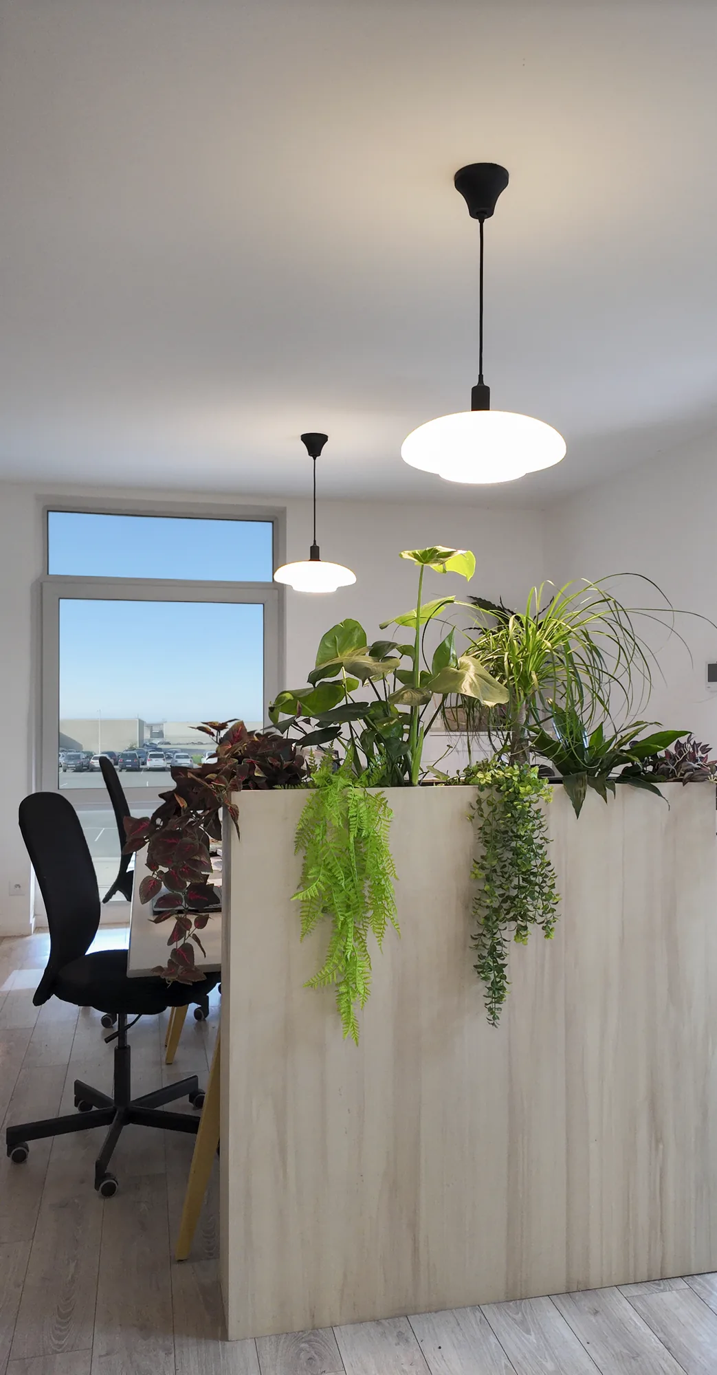 Séparateur en bois installé dans un bureau, plantes retombantes au-dessus de la cloison