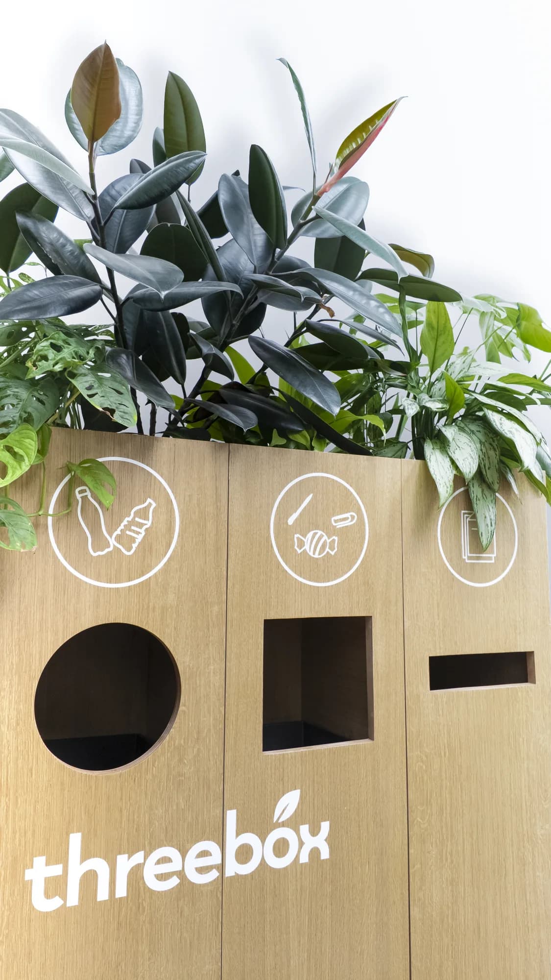 La Threebox, façade avec les trois points de tri sélectif et le feuillage en partie haute