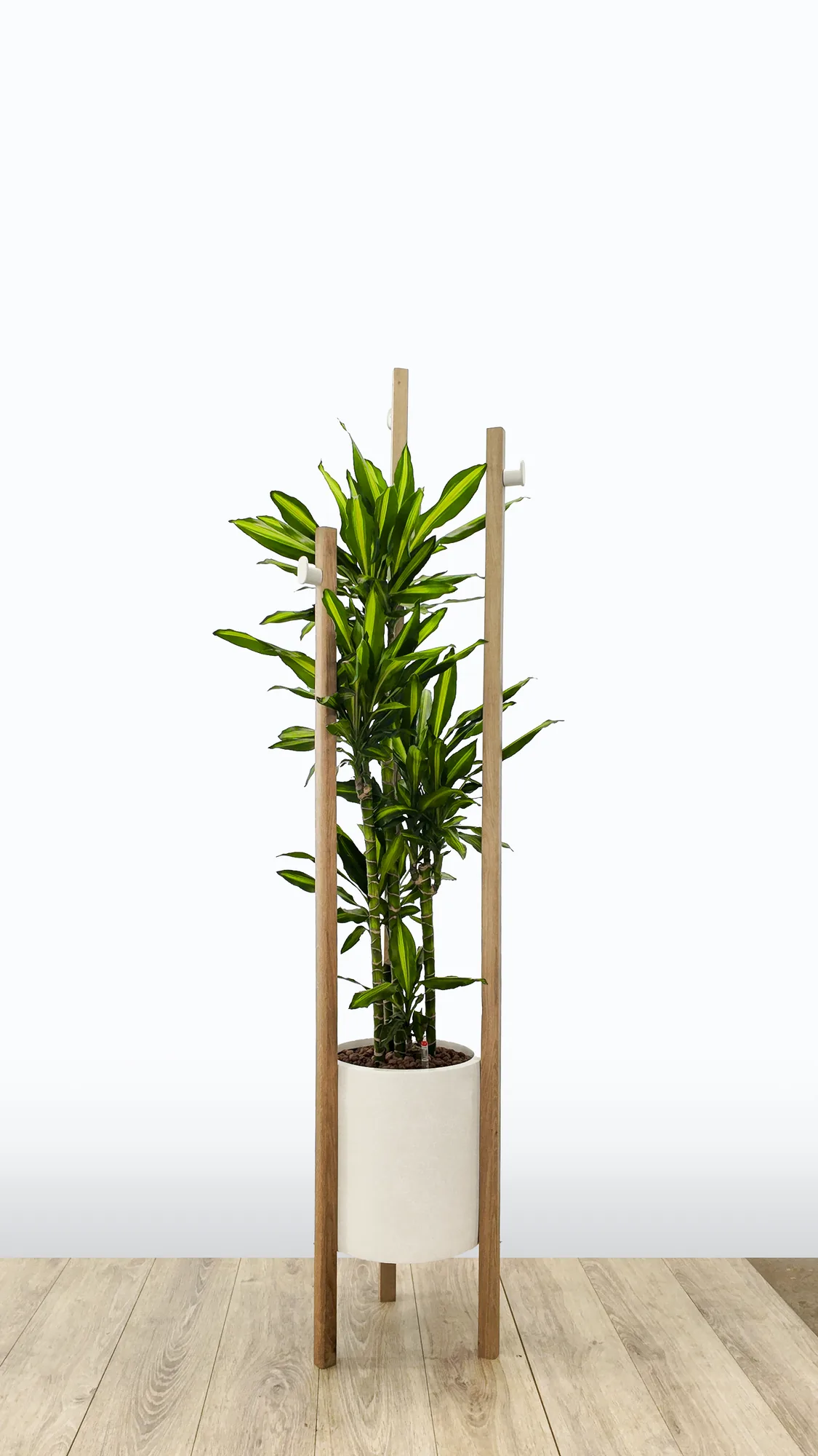 Petit mobilier