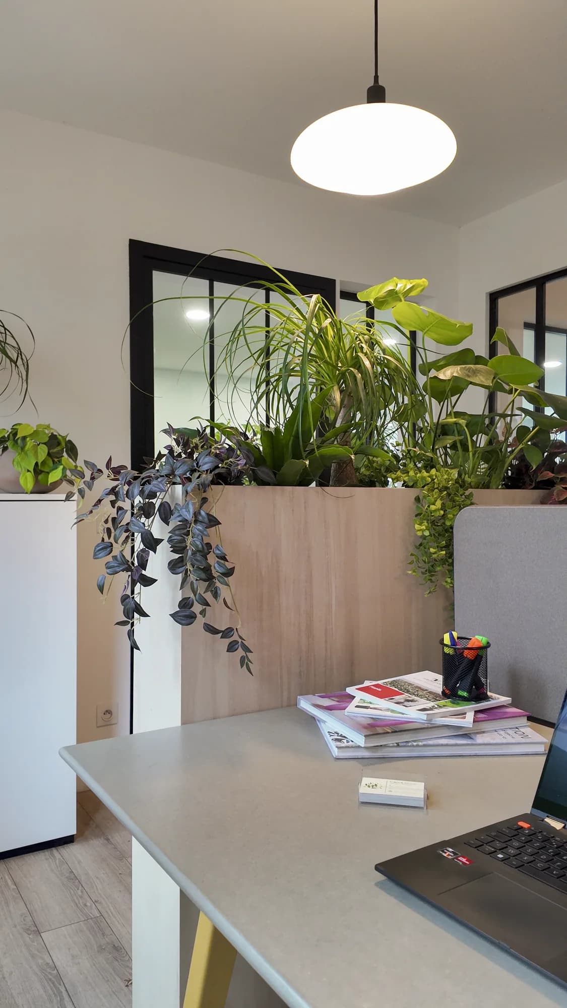 Séparateur de bureau en bois végétalisé