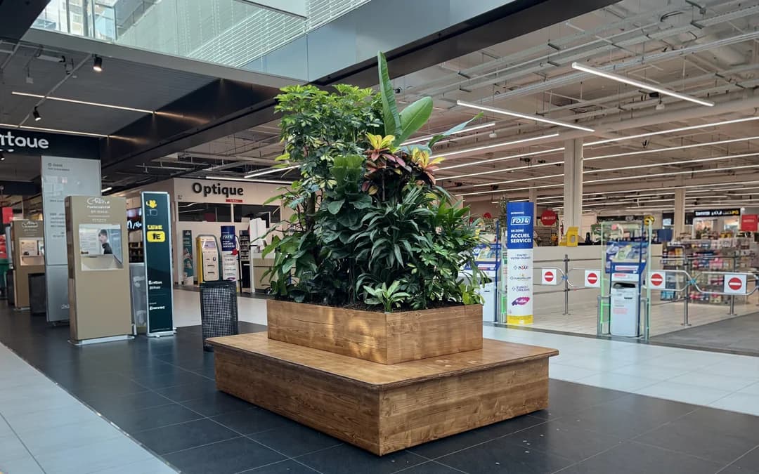 Banquette végétale en bois avec grand bac planté, mail commercial Auchan Roncq